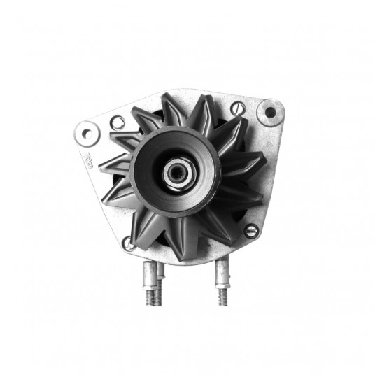 A1042 / A1041 Alternator -zdjęcie numer 1