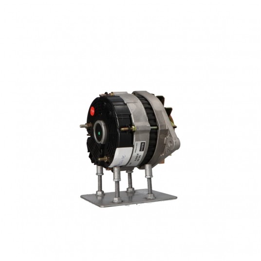 A264 Alternator -zdjęcie numer 13