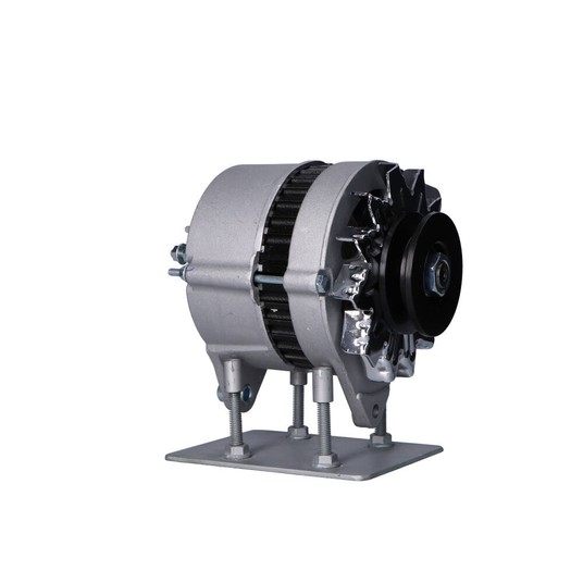 A306N Alternator -zdjęcie numer 11