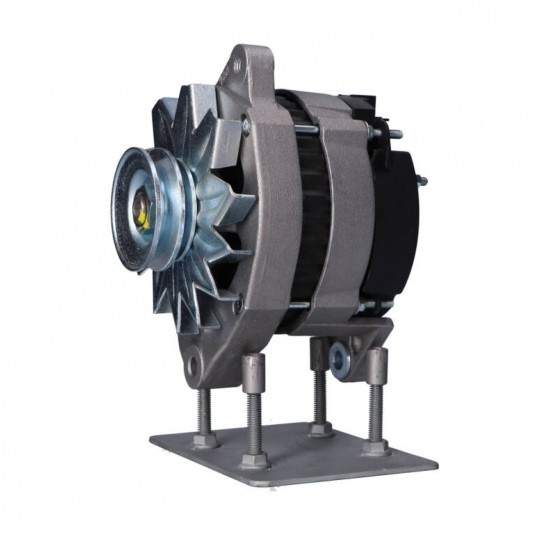 A549 Alternator -zdjęcie numer 4