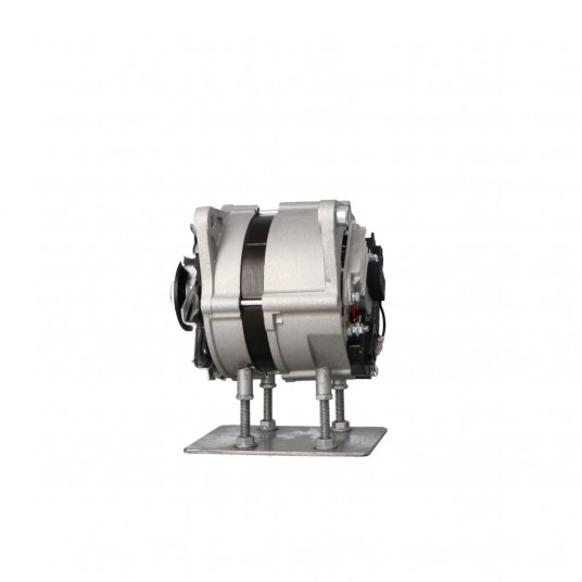 A650 / A306 Alternator -zdjęcie numer 6