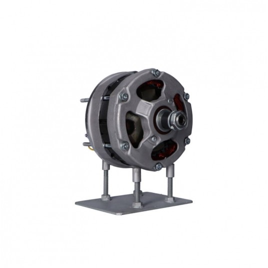 A813N Alternator -zdjęcie numer 17