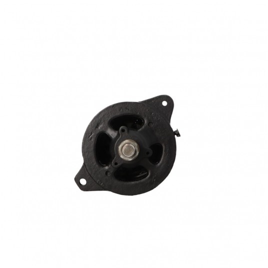 CG54 Alternator -zdjęcie numer 1