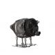 A1136 Alternator -zdjęcie numer 7