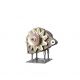 A170 Alternator -zdjęcie numer 2