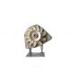 A170 Alternator -zdjęcie numer 1