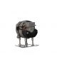 A174 Alternator -zdjęcie numer 8