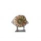 A633 Alternator -zdjęcie numer 1
