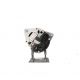 A650 / A306 Alternator -zdjęcie numer 10