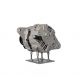 A9620 Alternator -zdjęcie numer 8