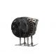 A9769 Alternator -zdjęcie numer 11